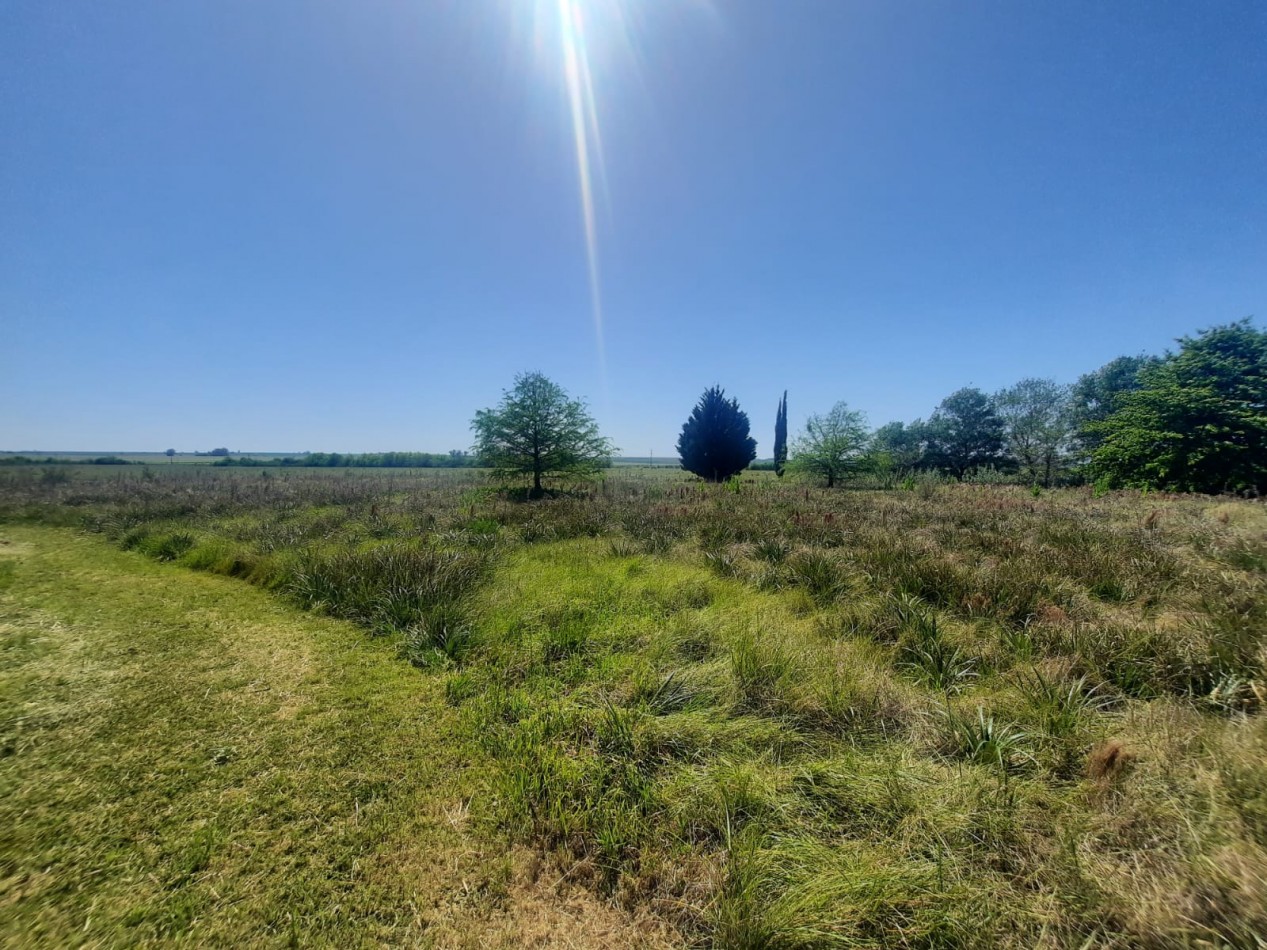 CAMPO SOBRE RUTA 12